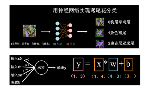 神经网络搭建